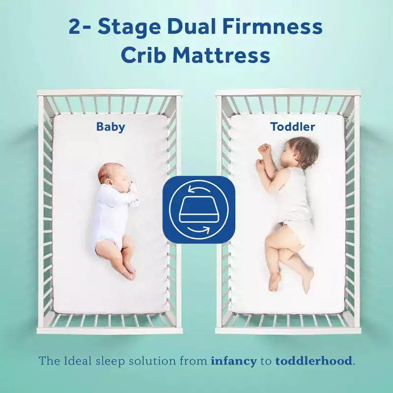 Sealy Cotton Cozy Rest 2-Stage Crib And Toddler Mattress: Hypoallergenic, Waterproof Cover, Firm Feel, 5.5" Thickness