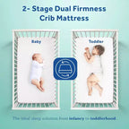 Sealy Cotton Cozy Rest 2-Stage Crib And Toddler Mattress: Hypoallergenic, Waterproof Cover, Firm Feel, 5.5" Thickness
