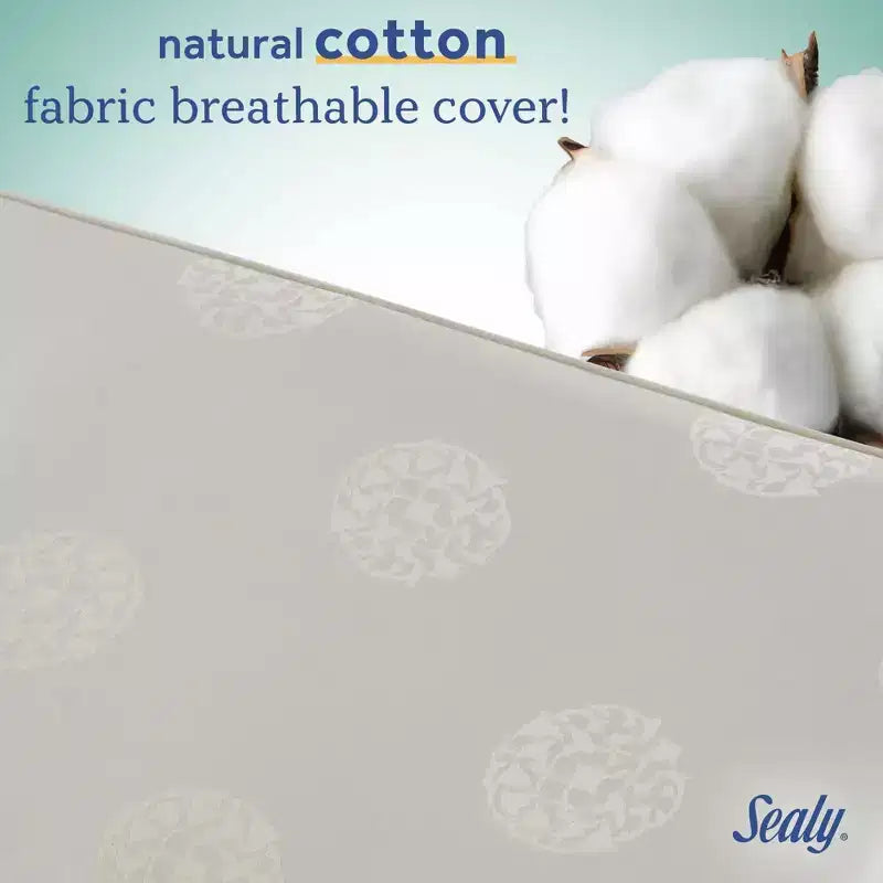 Sealy Cotton Cozy Rest 2-Stage Crib And Toddler Mattress: Hypoallergenic, Waterproof Cover, Firm Feel, 5.5" Thickness