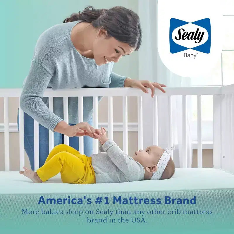 Sealy Cotton Cozy Rest 2-Stage Crib And Toddler Mattress: Hypoallergenic, Waterproof Cover, Firm Feel, 5.5" Thickness