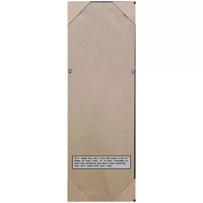 18" x 52" Non-Beveled Rustic Plank Gray Narrow Full Length on The Door Mirror - Amanti Art