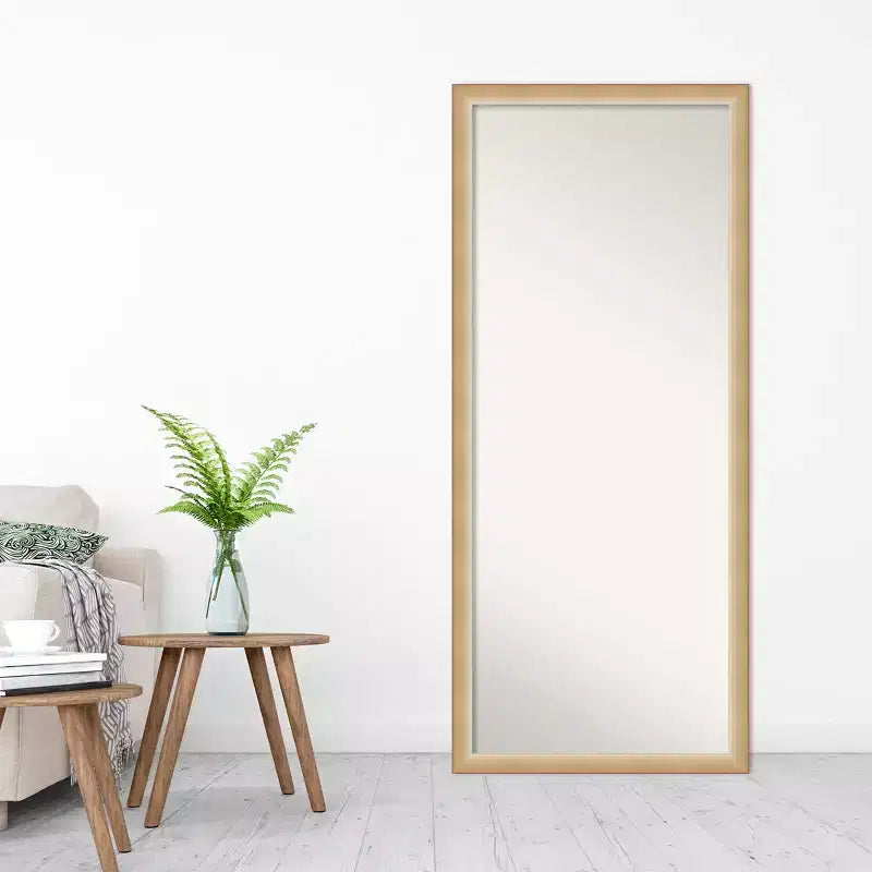 27" x 63" Eva Ambre Framed Full Length Floor/Leaner Mirror Gold - Amanti Art: Modern Polystyrene Rectangle Design