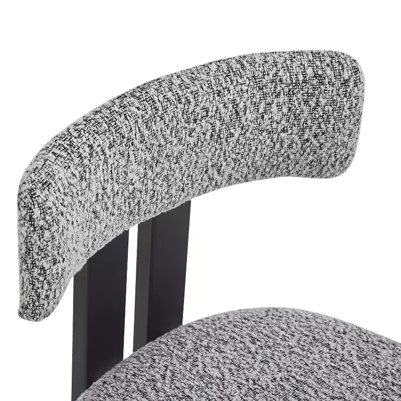 Christopher Knight Home Astura Iron Frame Upholstered Dining Chairs (Set of 2)