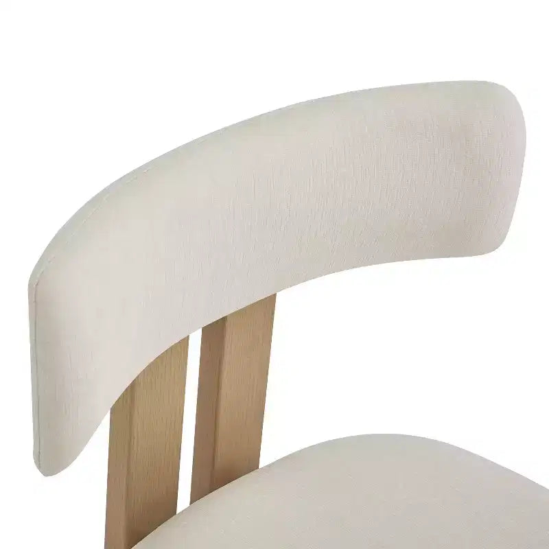 Christopher Knight Home Astura Iron Frame Upholstered Dining Chairs (Set of 2)