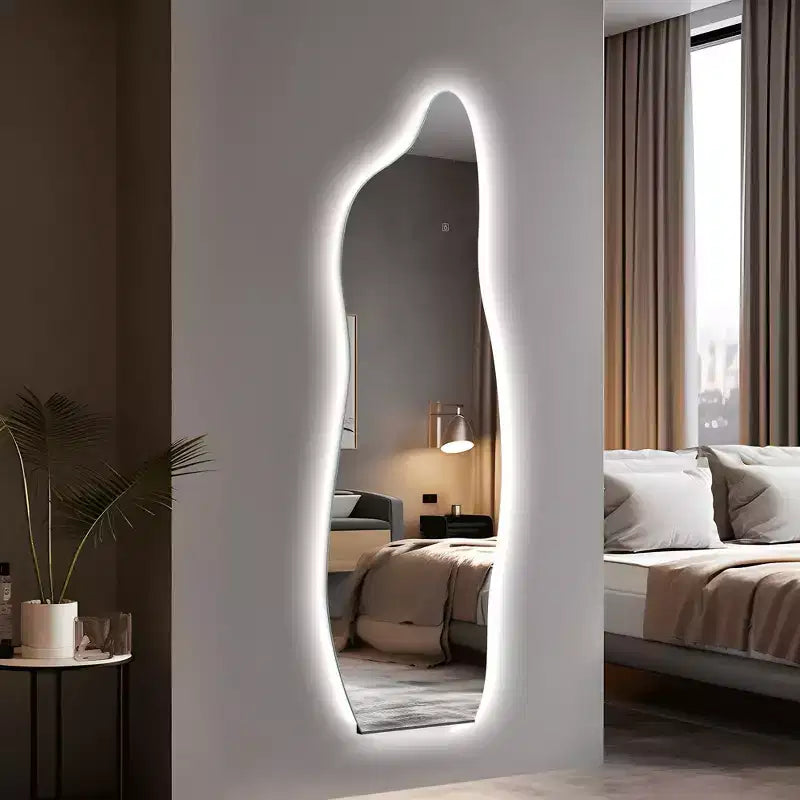 PexFix 24 in. W x 63 in. H Full Length Irregular Mirror in Silver