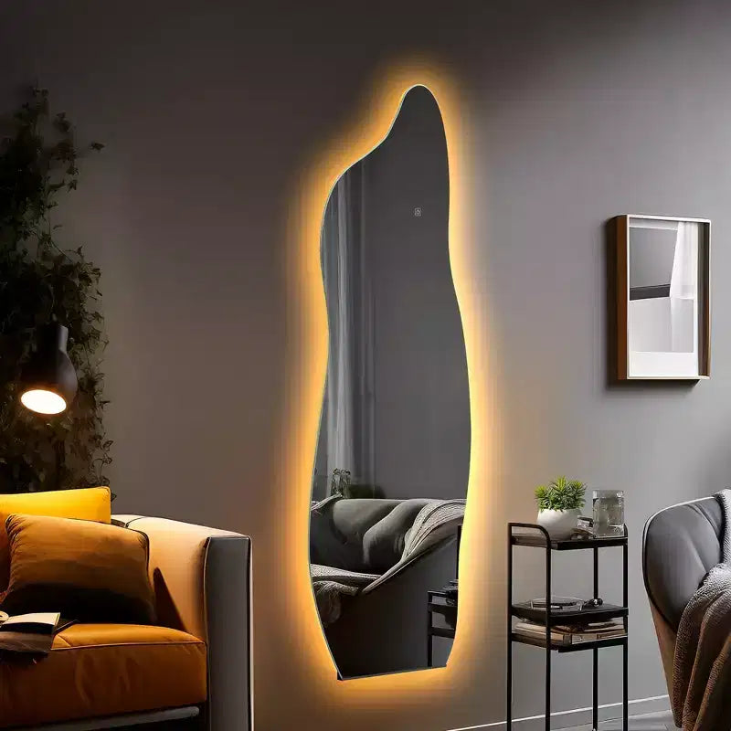 PexFix 24 in. W x 63 in. H Full Length Irregular Mirror in Silver
