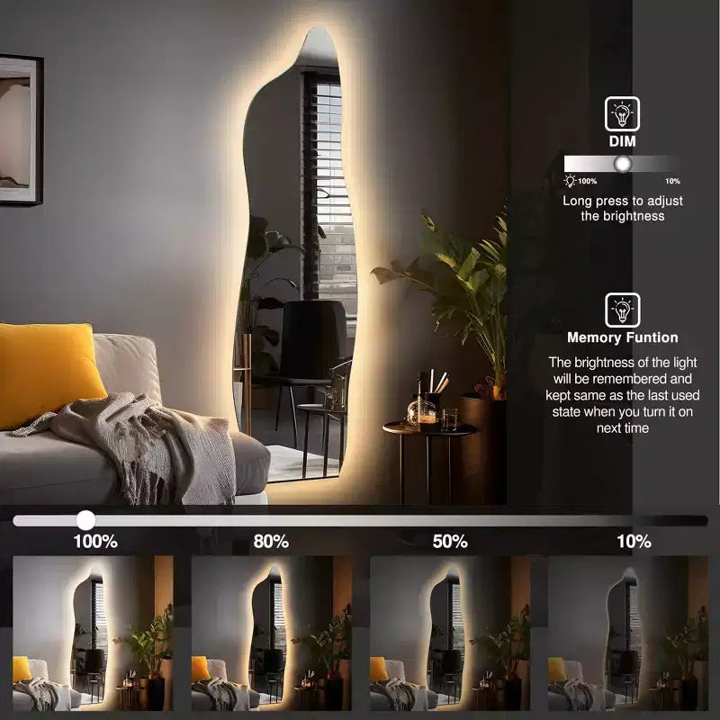 PexFix 24 in. W x 63 in. H Full Length Irregular Mirror in Silver