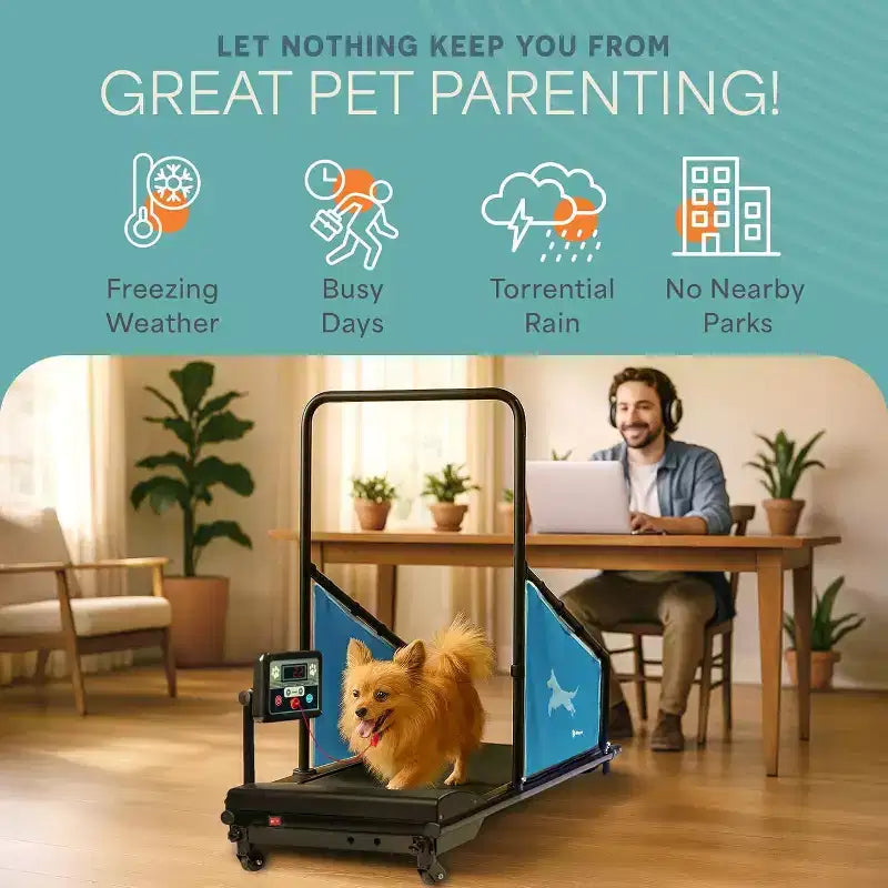 Tapis roulant per cani LifePro PawRunner per cani di taglia piccola e media, macchina da corsa per animali domestici da interno fino a 59 kg, tapis roulant compatto per cani per fitness e addestramento