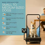 Tapis roulant per cani LifePro PawRunner per cani di taglia piccola e media, macchina da corsa per animali domestici da interno fino a 59 kg, tapis roulant compatto per cani per fitness e addestramento