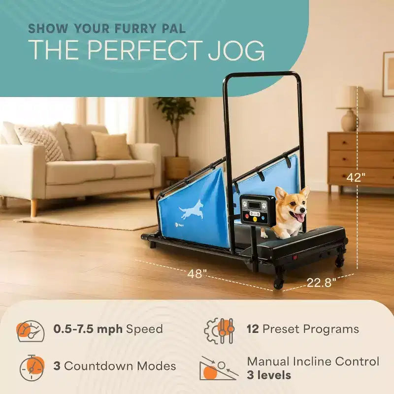 Tapis roulant per cani LifePro PawRunner per cani di taglia piccola e media, macchina da corsa per animali domestici da interno fino a 59 kg, tapis roulant compatto per cani per fitness e addestramento