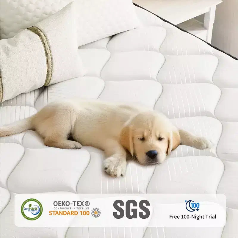 Swedrea Hybrid Mattress Medium Cooling Memory Foam Bed-in-a-Box Black