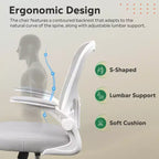 GALAXHERO Ergonomic Office Chair, Mesh Computer Desk Chair with Flip-up Armrests & Adjustable Lumbar Support
