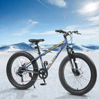 NAYSAYE 24 Inch Fat Tire Mountain Bike with 7 Speed Shifter Dual Disc Brake for Adults and Youth, Gray, 67*25*40
