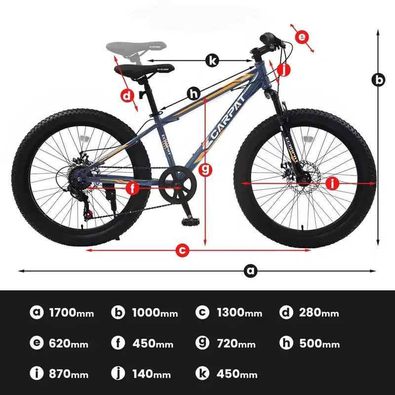 NAYSAYE 24 Inch Fat Tire Mountain Bike with 7 Speed Shifter Dual Disc Brake for Adults and Youth, Gray, 67*25*40