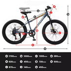 NAYSAYE 24 Inch Fat Tire Mountain Bike with 7 Speed Shifter Dual Disc Brake for Adults and Youth, Gray, 67*25*40