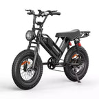 Eilleo 20 Fat Tire E-Bike  750W Motor (920W Peak), 24.9 mph, 5070 Mile Range, 48V 15.6Ah Battery, Dual Suspension, Shimano 7-Speed