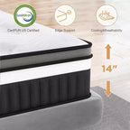 Mattress Clearance: 14 Hybrid Mattress Queen Size - Memory Foam & Individually Pocket Coils, Pressure Relief, CertiPUR-US Certified, Medium Firm