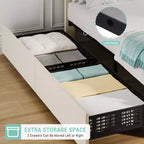 COZONY Letto Matrimoniale Francese con Testiera Regolabile e 2 Cassetti Contenitori, Letto a Piattaforma Imbottito in Velluto Trapuntato, Nessuna Rete a Molle Necessaria, Beige