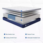 Avenco 12 inch Medium Firm Hybrid Memory Foam/Coil Blend Mattress in a Box