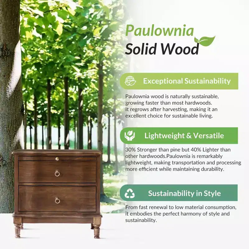 Honorio Traditional 2-Drawer Solid Wood End Table with Built-In Outlet|HULALA HOME