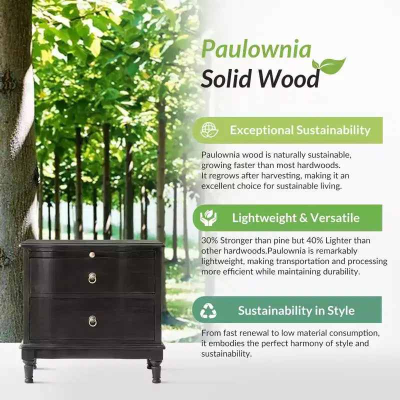 Honorio Traditional 2-Drawer Solid Wood End Table with Built-In Outlet|HULALA HOME