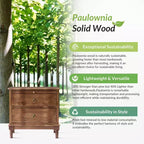 Honorio Traditional 2-Drawer Solid Wood End Table with Built-In Outlet|HULALA HOME