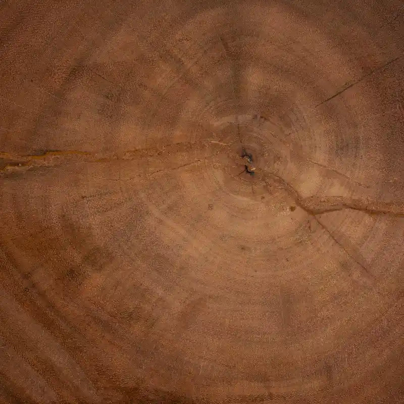 Tavolino Eliada intagliato a mano in legno di suar – Tavolino d'appoggio scultoreo ondulato, stile moderno Boho per soggiorno o camera da letto
