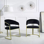 20" Fallon Accent Chair Black Velvet/Mirrored Gold - Acme Furniture: No Assembly, Stainless Steel Frame