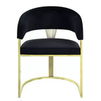 20" Fallon Accent Chair Black Velvet/Mirrored Gold - Acme Furniture: No Assembly, Stainless Steel Frame