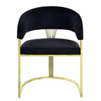 20" Fallon Accent Chair Black Velvet/Mirrored Gold - Acme Furniture: No Assembly, Stainless Steel Frame