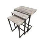 Carolina Living Addison Nesting Table Set Natural Driftwood/Aged Iron: 3-Piece, Solid Mango, Metal Frame, No Assembly Required