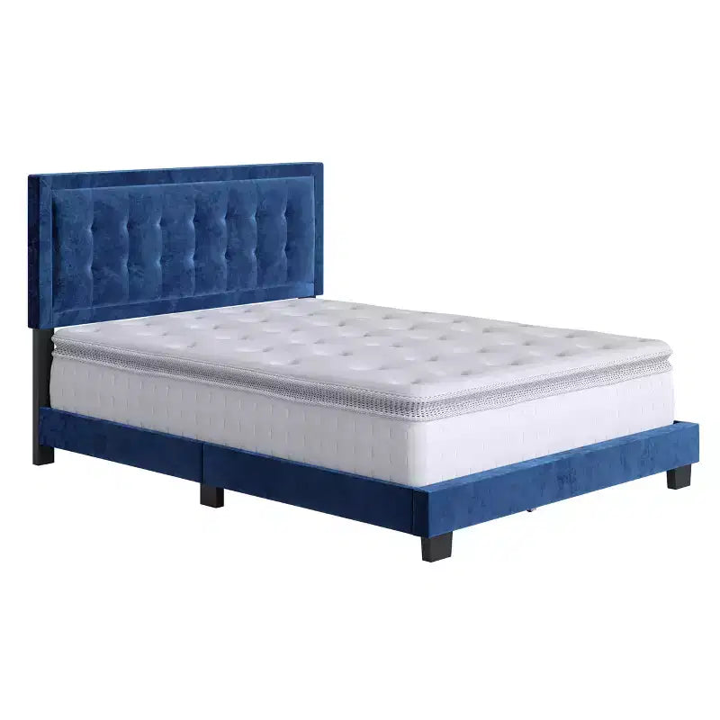 Telaio Letto Imbottito con Bottoni Capitonnè Tobias Velvet - Eco Dream