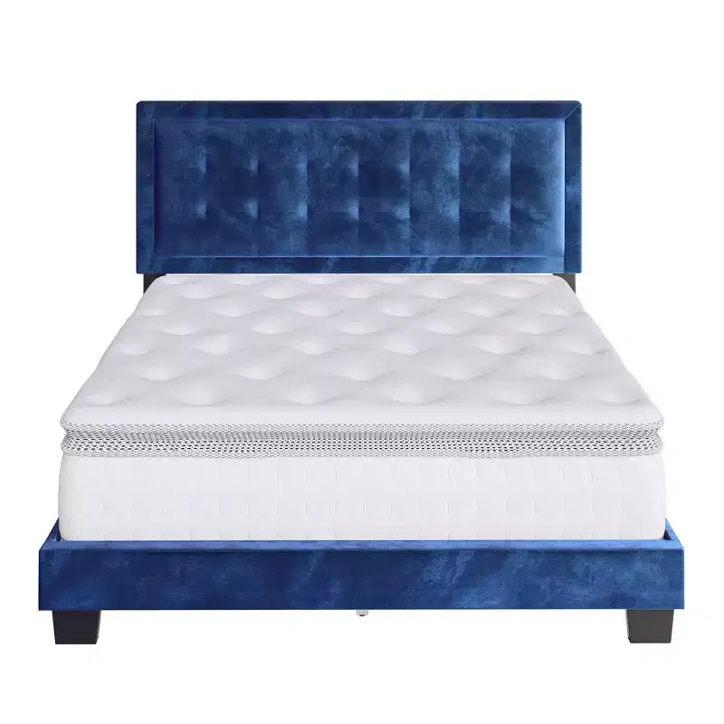Telaio Letto Imbottito con Bottoni Capitonnè Tobias Velvet - Eco Dream