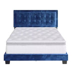 Telaio Letto Imbottito con Bottoni Capitonnè Tobias Velvet - Eco Dream