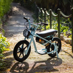 Bicicletta elettrica per bambini Droyd Kids' Weeler 14 Step Over Mini