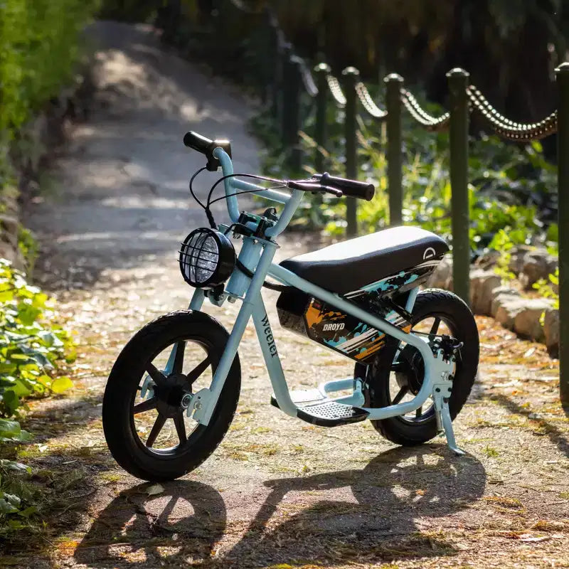 Bicicletta elettrica per bambini Droyd Kids' Weeler 14 Step Over Mini