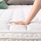 Best Price Mattress 10 Euro Top Pocket Spring Mattress