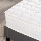 Best Price Mattress 10 Euro Top Pocket Spring Mattress