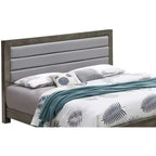 Passion Furniture Burlington Upholstered King Panel Bed