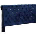 Passion Furniture Maxx Tufted Upholstered Full Panel Bed
