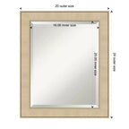 Amanti Art Classic Honey Silver Beveled Framed Wall Mirror