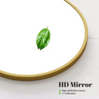 Dovelina Modern Arched Medicine Cabinet With Mirror Metal Framed Bathroom Mirror With Storage - 36x24