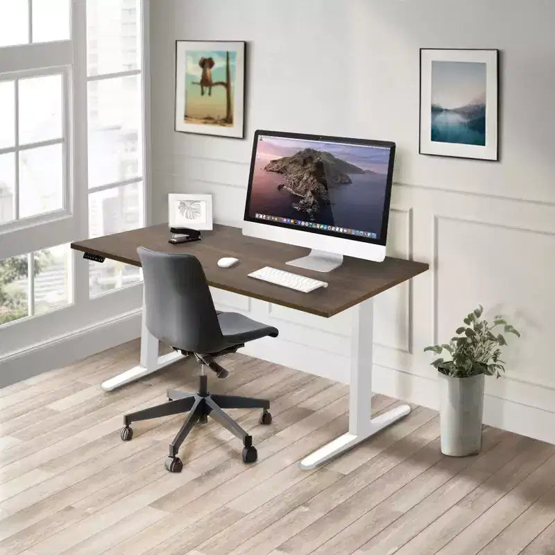 Mount-It! Dual Motor Electric Standing Desk with 55 Tabletop, Adrift & White