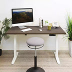 Mount-It! Dual Motor Electric Standing Desk with 55 Tabletop, Adrift & White