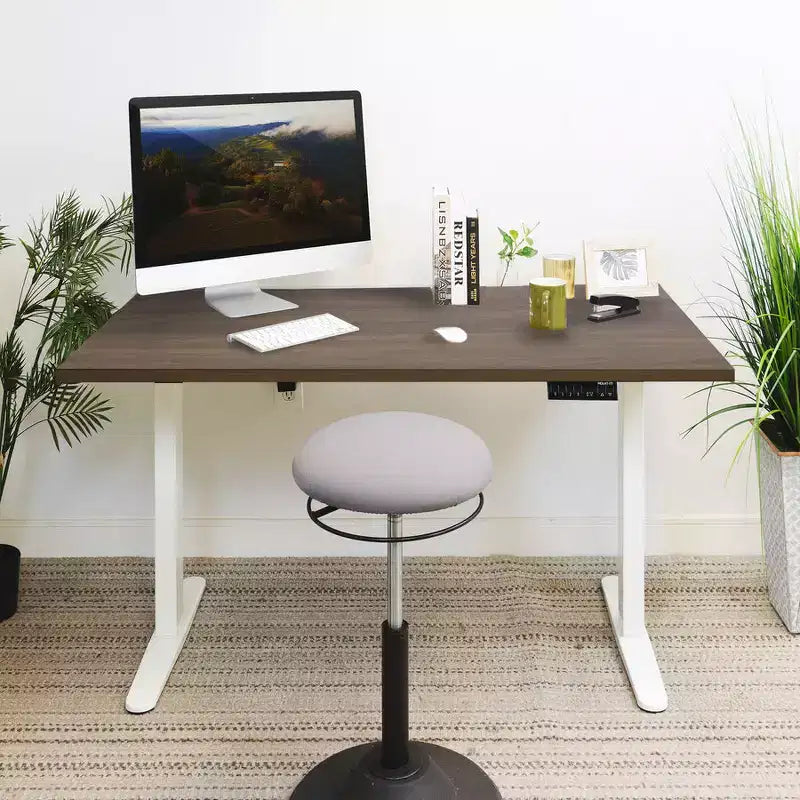 Mount-It! Dual Motor Electric Standing Desk with 55 Tabletop, Adrift & White