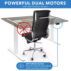Mount-It! Dual Motor Electric Standing Desk with 55 Tabletop, Adrift & White