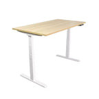 Mount-It! Dual Motor Electric Standing Desk with 55 Tabletop, Maple & White
