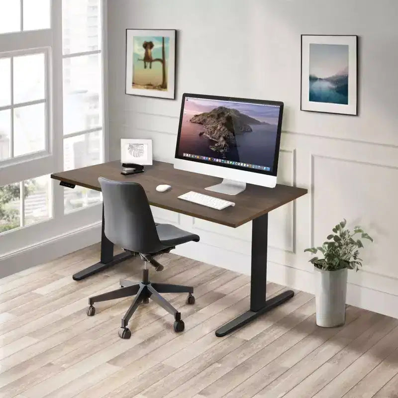 Mount-It! Dual Motor Electric Standing Desk with 55 Tabletop, Adrift & Black