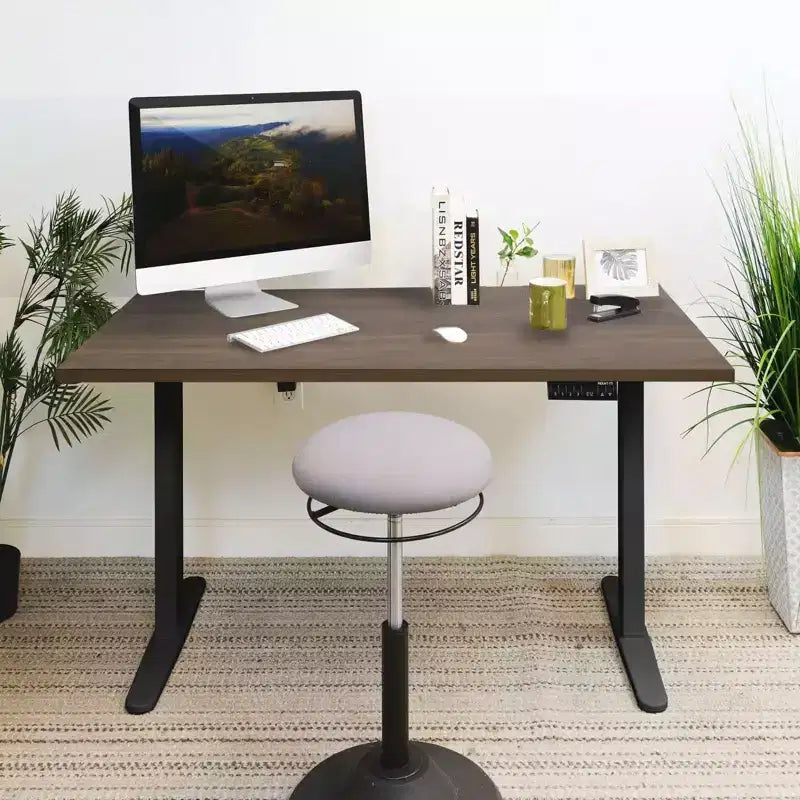 Mount-It! Dual Motor Electric Standing Desk with 55 Tabletop, Adrift & Black