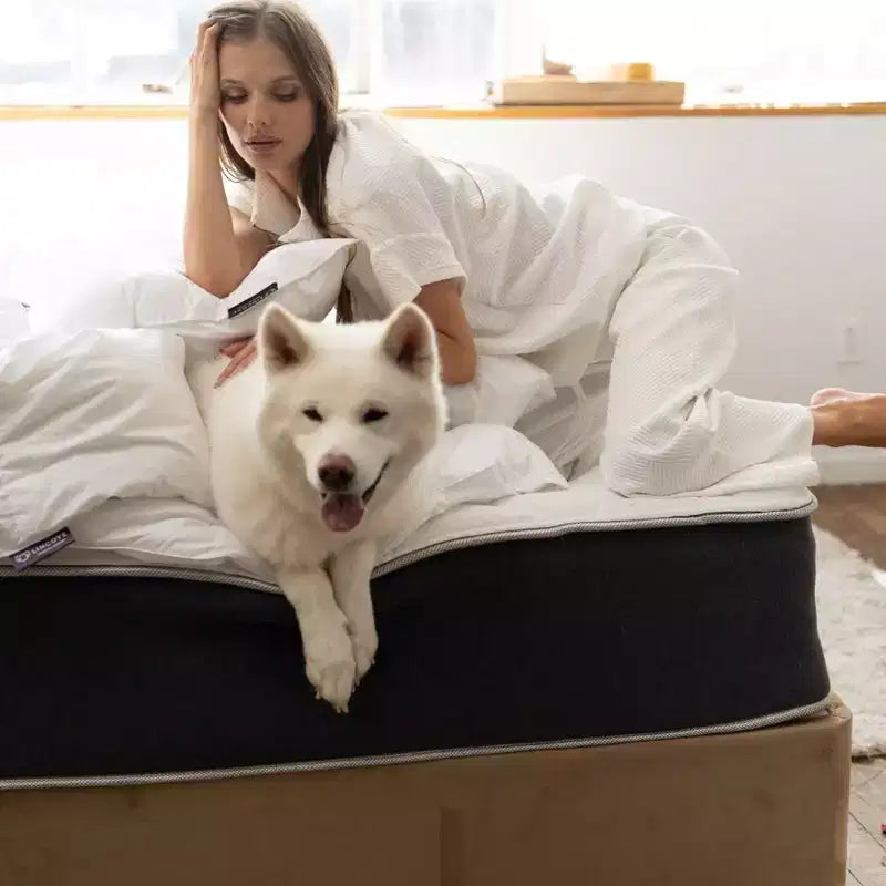Materasso Ibrido a Molle e Memory Foam Lincove da 12 Pollici - Materasso Medio Rigido Certificato CertiPUR-US - Supporto Adattivo, Sollievo dalla Pressione - Prodotto negli USA